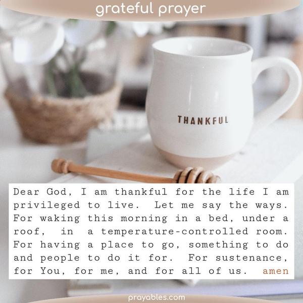 Dear God, I am thankful for the life I am privileged to live. Let me say the ways. For waking this morning in a bed, under a roof, in a temperature-controlled room. For having
a place to go, something to do, and people to do it for. For sustenance, for You, for me, and for all of us. amen