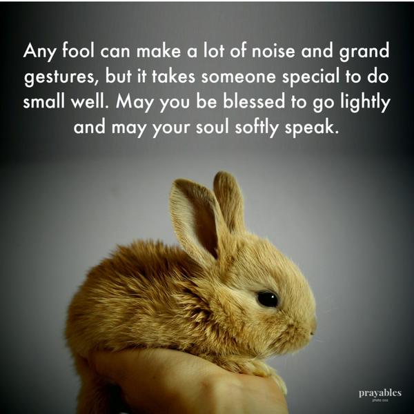 Any fool can make a lot of noise and grand gestures, but it takes someone special to do small well. May you be blessed to go lightly and may your soul softly speak.