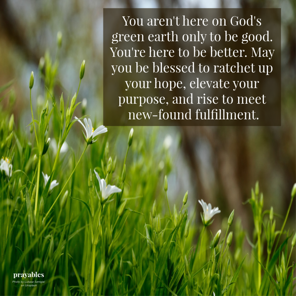 You aren’t here on God’s green earth only to be good. You’re here to be better. May you be blessed to ratchet up your hope, elevate your purpose, and rise to meet new-found fulfillment.