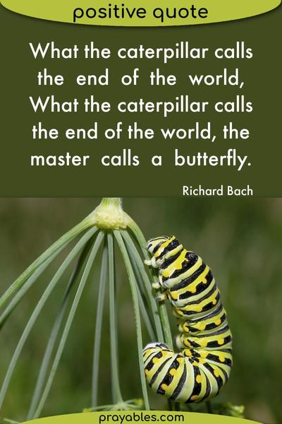 What the caterpillar calls the end of the world, What the caterpillar calls the end of the world, the master calls a butterfly. Richard Bach