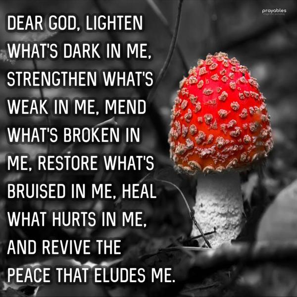 Dear God, lighten what's dark in me, strengthen what's weak in me, mend what's broken in  me, restore what's bruised in me, heal what hurts in me, and
revive the  peace that eludes me.