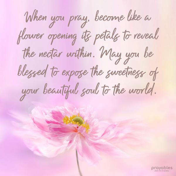 When you pray, become like a flower opening its petals to reveal the nectar within. May you be blessed to expose the sweetness of your
beautiful soul to the world.