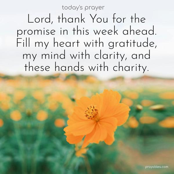 Lord, thank You for the promise in this week ahead. Fill my heart with gratitude, my mind with clarity, and these hands with charity.