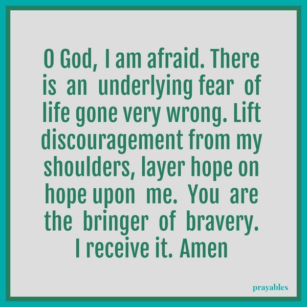 O God, I am afraid. There is an underlying fear of life gone very wrong. Lift discouragement from my shoulders, layer hope on hope upon me. You are the bringer of bravery. I receive it. Amen