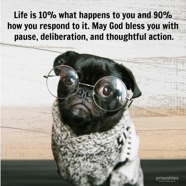 Life is 10% what happens to you and 90% how you respond to it. May God bless you with pause, deliberation, and thoughtful action.