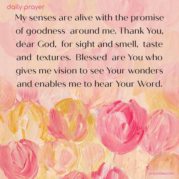 My senses are alive with the promise of goodness around me. Thank you, dear God, for sight and smell, taste and textures. Blessed are You who gives me vision to see Your wonders and enables me to hear Your Word