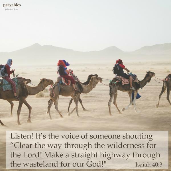 Listen! It's the voice of someone shouting "Clear the way through the wilderness for the Lord!