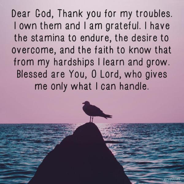 Dear God, Thank you for my troubles. I own them and I am grateful. I have the stamina to endure, the desire to overcome, and the faith to know that from my
hardships I learn and grow. Blessed are You, O Lord, who gives me only what I can handle. 