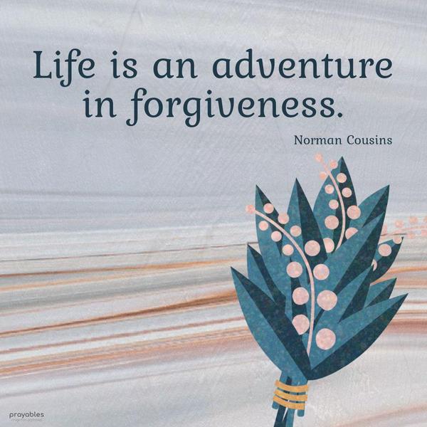 Life is an adventure in forgiveness. Norman Cousins