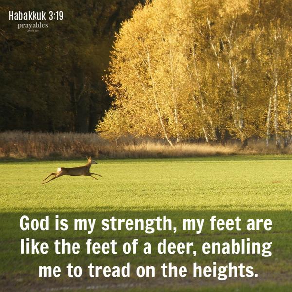 Habakkuk 3:19 God is my strength, my feet are like the feet of a deer, enabling me to tread on the heights.