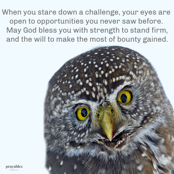 When you stare down a challenge, your eyes are open to opportunities you never saw before. May God bless you with strength to stand firm and the will to make the most of bounty gained.