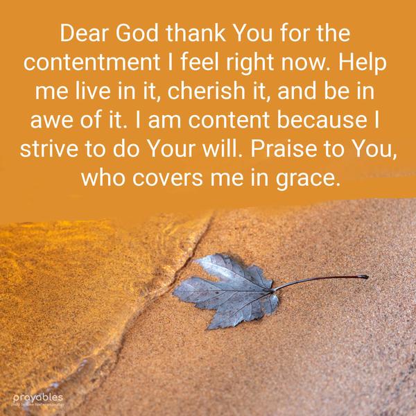 Dear God, thank You for the contentment I feel right now. Help me live in it, cherish it, and be in awe of it. I am content because I strive to do Your will. Praise to You, who covers me
in grace.