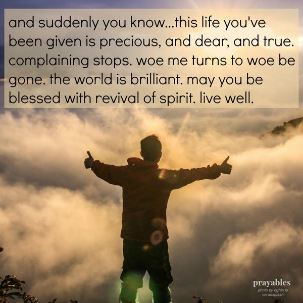 Revival of Spirit and suddenly you know…this life you’ve been given is precious, and dear, and true. complaining stops. woe me turns to woe be gone. the world is brilliant. may you be blessed with revival of spirit. live well.