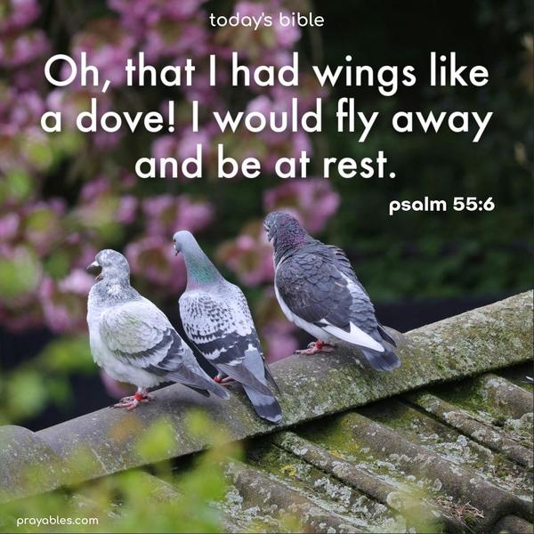 Oh, that I had wings like a dove! I would fly away and be at rest. Psalm 55:6