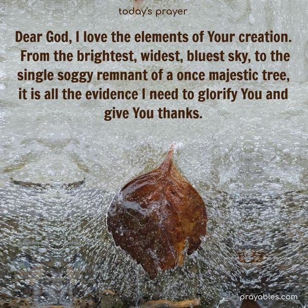 Dear God, I love the elements of Your creation. From the brightest, widest, bluest sky, to the single soggy remnant of a once majestic tree, it is all the evidence I need to glorify You and give You thanks.