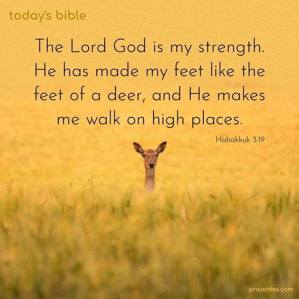 The Lord God is my strength. He has made my feet like the feet of a deer, and He makes me walk on high places. Habakkuk 3:19