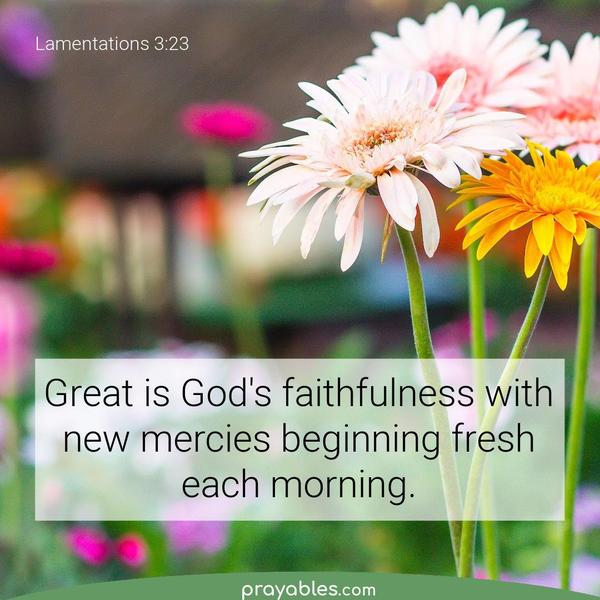 Lamentations 3:23 Great is God's faithfulness with new mercies beginning fresh each morning.