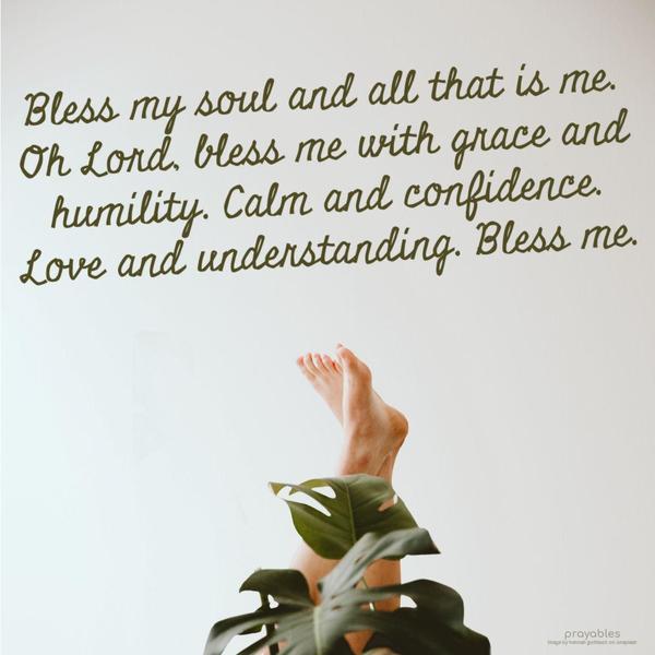 Bless my soul and all that is me. Oh Lord, bless me with grace and humility. Calm and confidence. Love and understanding. Bless me.