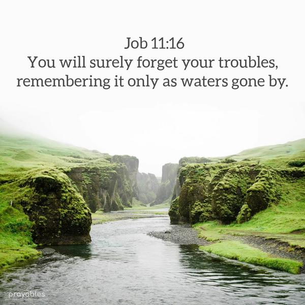 Job 11:16 You will surely forget your troubles, remembering it only as waters gone by.