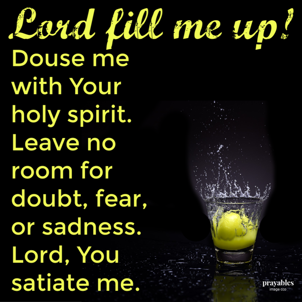 Lord, fill me up! Douse me with Your holy spirit. Leave no room for doubt, fear, or sadness. Lord, You satiate me.