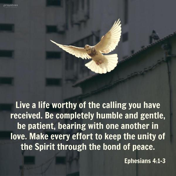 Ephesians 4:1-3 Live a life worthy of the calling you have received. Be completely humble and gentle; be patient, bearing with one another in love. Make every effort to keep the unity of
the Spirit through the bond of peace.