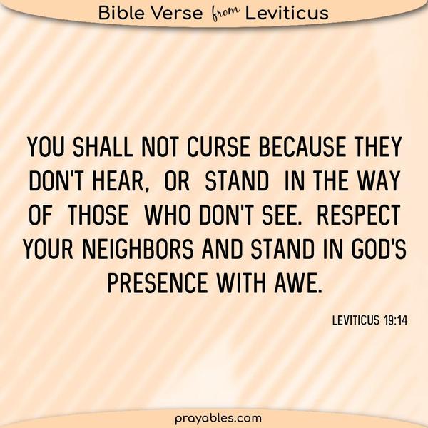 Leviticus 19:14 You shall not curse because they don't hear or stand in the way of those who don't see. Respect your neighbors and stand in God's presence
with awe.
