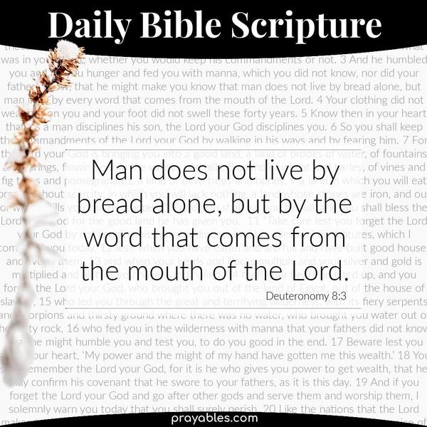 Deuteronomy 8:3 Man does not live by bread alone, but by the word that comes from the mouth of the Lord.