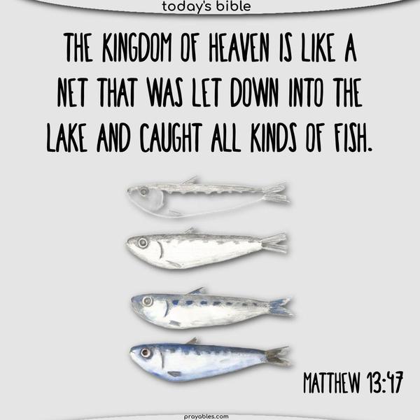 The kingdom of heaven is like a net that was let down into the lake and caught all kinds of fish. Matthew 13:47