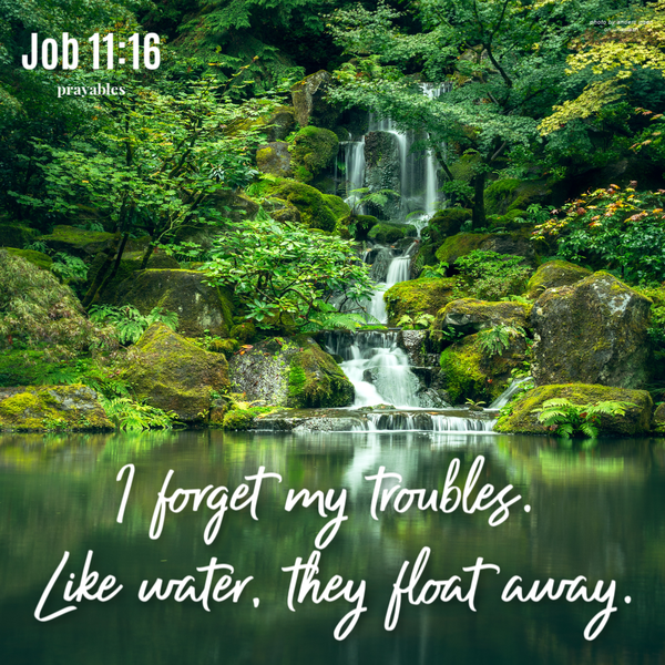 Job 11:16  I forget my troubles. Like water they float away.