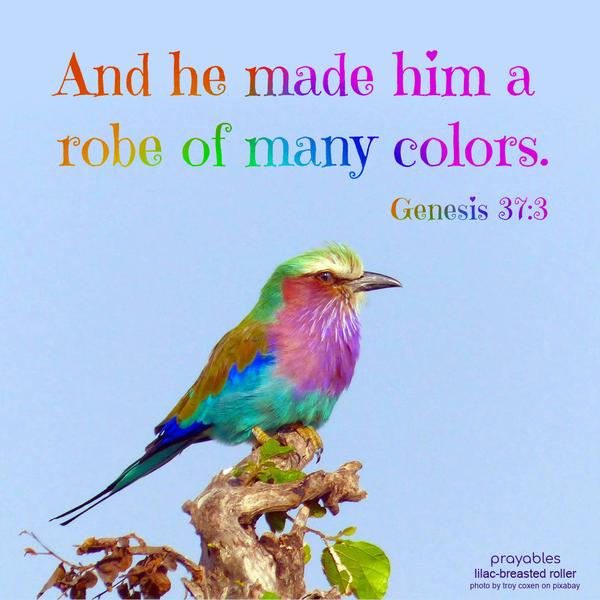 Genesis 37:3 And he made him a robe of many colors.