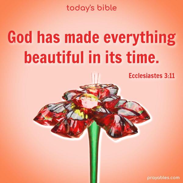 God has made everything beautiful in its time. Ecclesiastes 3:11