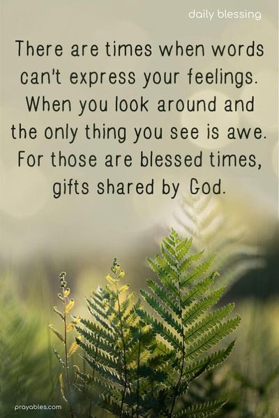 There are times when words can't express your feelings. When you look around and the only thing you see is awe. For those are blessed times, gifts shared by God.