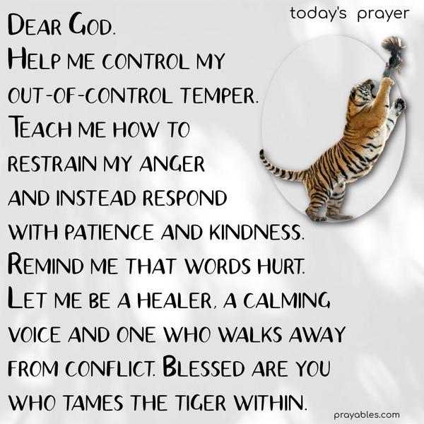 Dear God.  Help me control my  out-of-control temper.  Teach me how to  restrain my anger  and instead respond  with patience and kindness.  Remind me that words hurt. Let me be a healer, a calming  voice and one who walks away from conflict. Blessed are you  who tames the tiger within.