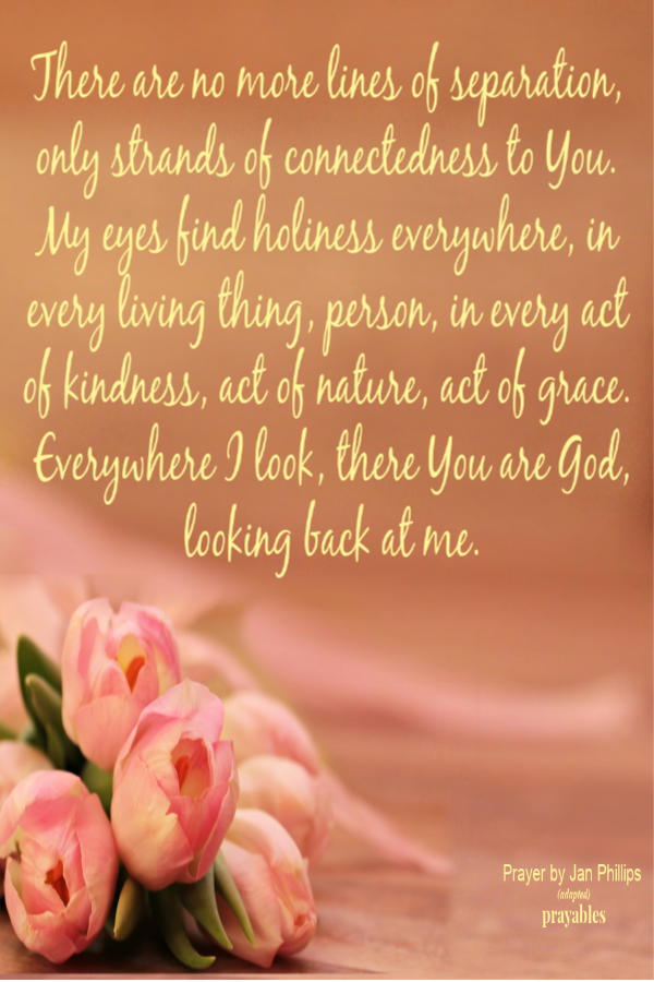 There are no more lines of separation, only strands of connectedness to You.  My eyes find holiness everywhere, in every living thing, person, in every act  of kindness, act of nature, act of grace. Everywhere I look, there You are God,
looking back at me.