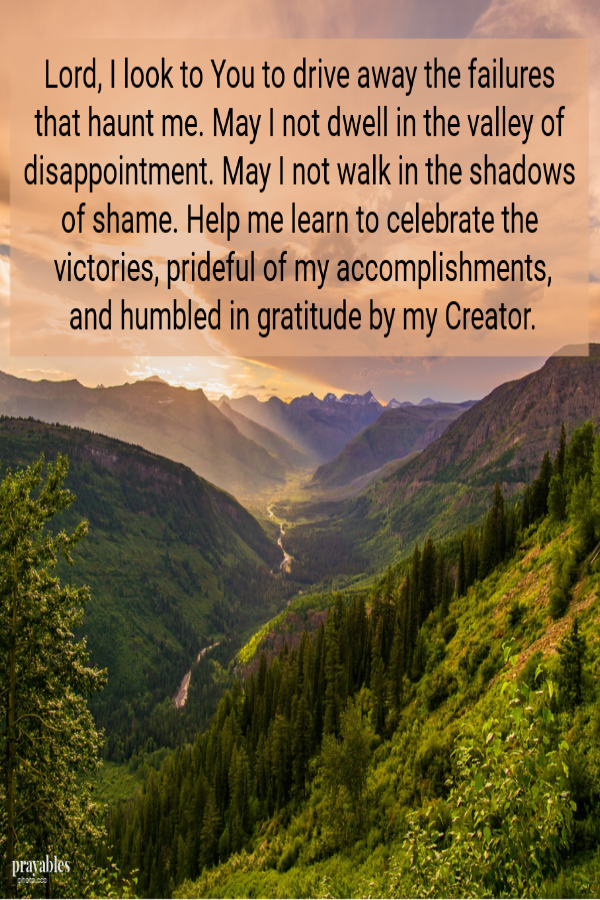 Lord, I look to You to drive away the failures that haunt me. May I not dwell in the valley of disappointment. May I not walk in the shadows of shame. Help me learn to celebrate the victories, prideful of my accomplishments, and humbled in
gratitude by my Creator.