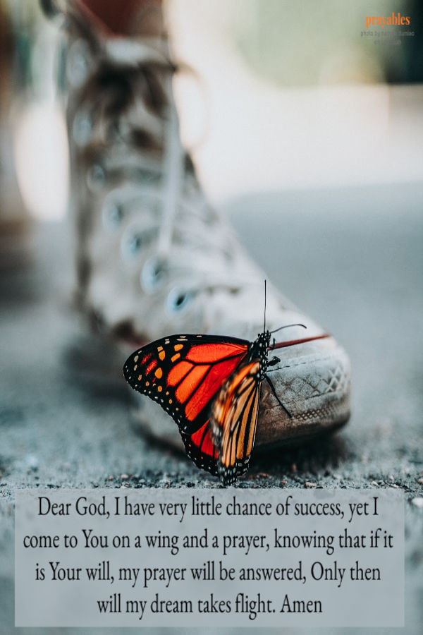 Dear God, I have very little chance of success, yet I come to You on a wing and a prayer, knowing that if it is Your will, my prayer will be answered, Only then will my dream takes flight. Amen