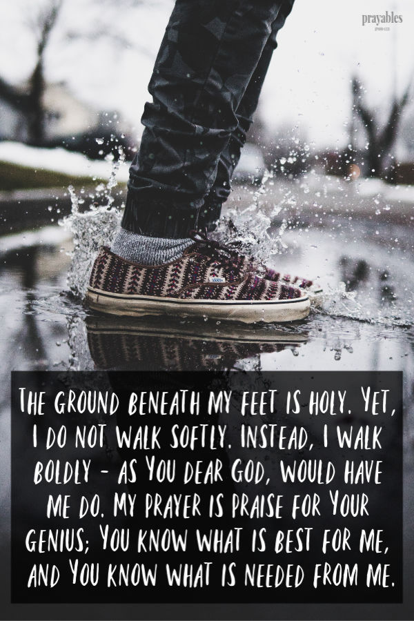 The ground beneath my feet is holy. Yet I do not walk softly, instead I walk boldly as You dear God, would have me do. My prayer is praise for Your genius, You know what is
best for me, and You know what is needed from me.