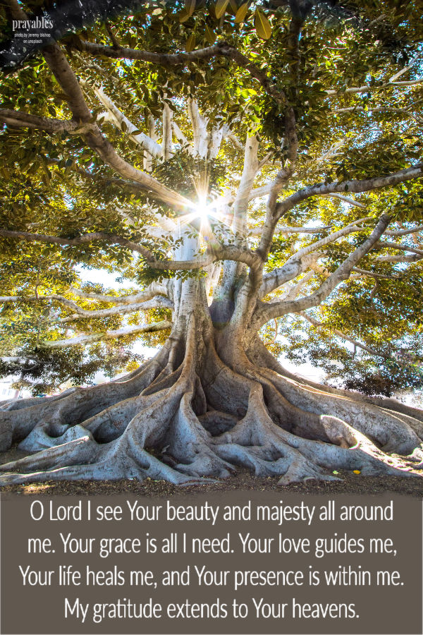 O Lord I see Your beauty and majesty all around me. Your grace is all I need. Your love guides me, Your life heals me, and Your presence is within me. My gratitude extends to
Your heavens. 