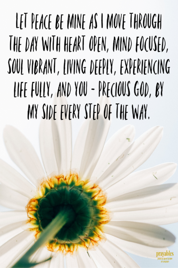 Let peace be mine as I move through  the day with heart open, mind focused, soul vibrant, living deeply, experiencing life fully, and you - precious God, by  my side every step of the way. 