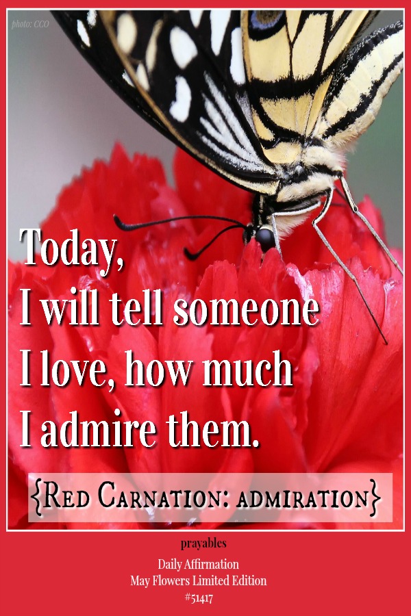 Today, I will tell someone I love, how much I admire them.