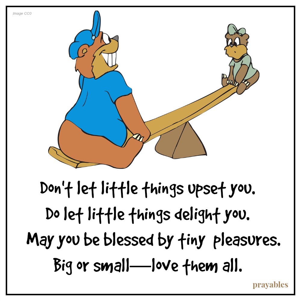 Don’t let little things upset you. Do let little things delight you. May you be blessed by tiny pleasures. Big or small—love them all.