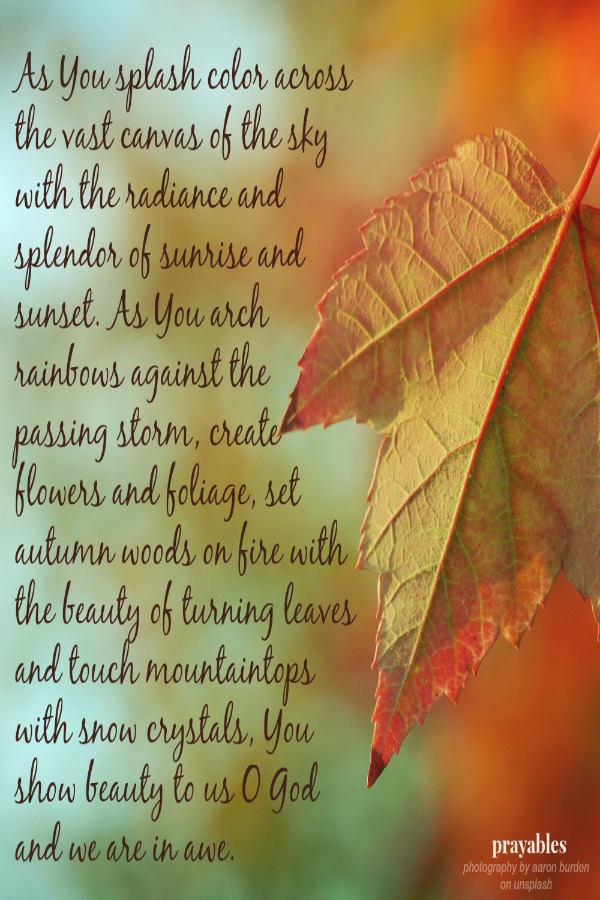 As You splash color across the vast canvas of the sky with the radiance and splendor of sunrise and sunset. As You arch rainbows against the passing storm, create flowers and foliage, set autumn woods on fire with the beauty of
turning leaves and touch mountaintops with snow crystals, You show beauty to us O God and we are in awe.