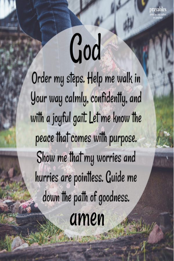 God, Order my steps. Help me walk in Your way calmly, confidently, and with a joyful gait. Let me know the peace that comes with purpose. Show me that my worries and hurries are pointless. Guide me down the path of goodness.  Amen