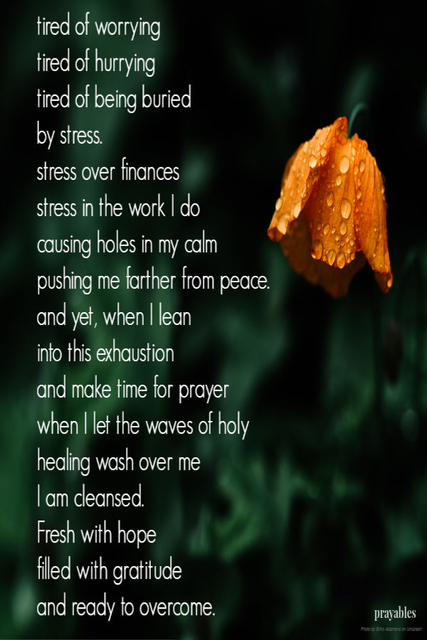 Grace be upon me.  May understanding and a clear vision come to me. I am devoted  to You, my God, in need of Your gentle touch of
light. Let me see  a better way to serve You.  Help me live rightly in  Your house. 