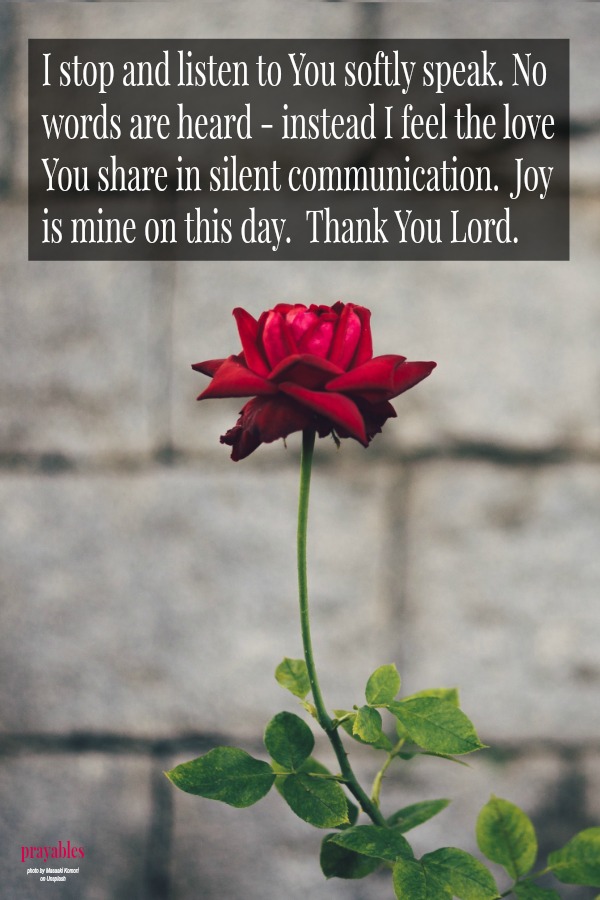 I stop and listen to You softly speak. No words are heard - instead I feel the love  You share in silent communication.  Joy  is mine on this day.  Thank You Lord.