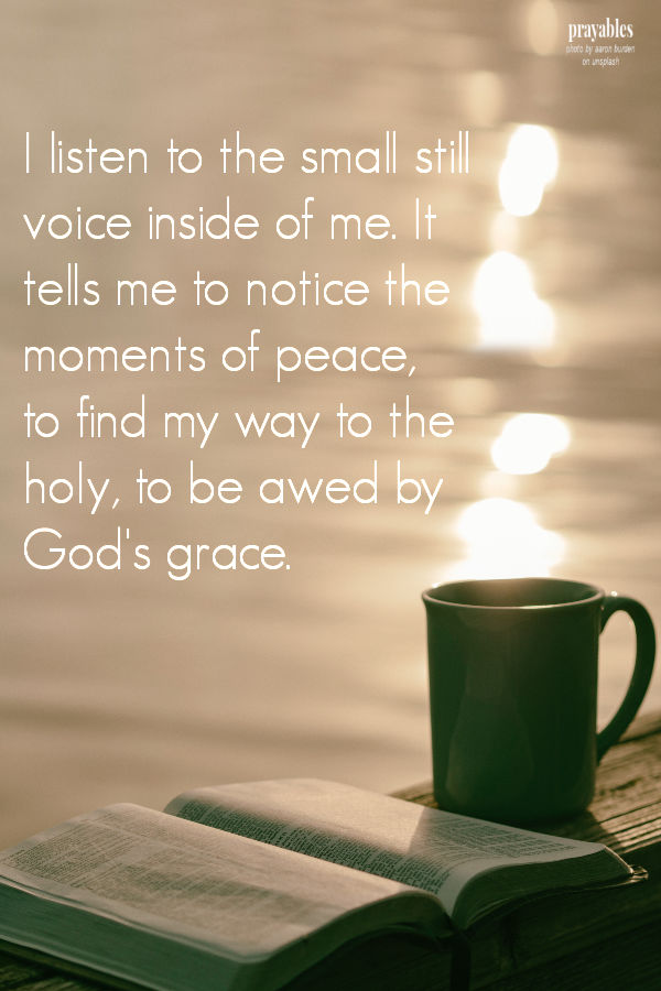 I listen to the small still voice inside of me. It tells me to notice the moments of peace,  to find my way to the holy, to be awed by God's grace. 