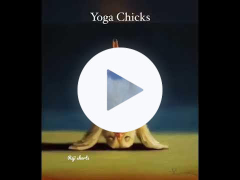 yoga chicks #shortsvideo , yoga #shorts