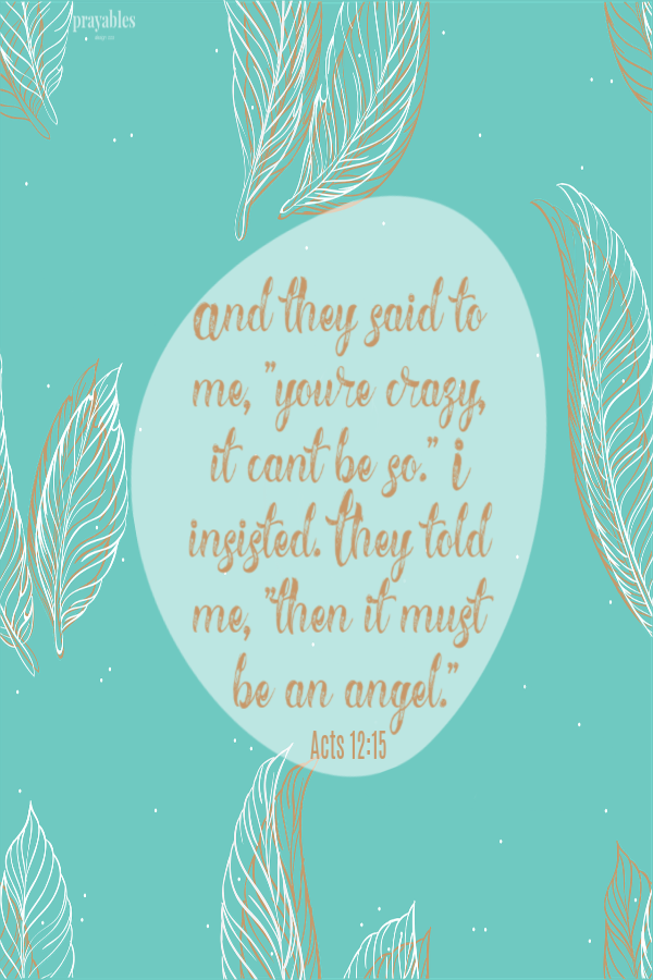 Acts 12:15 And they said to me "You're crazy, it can't be so." I insisted. They told me, "Then it must be an
angel."