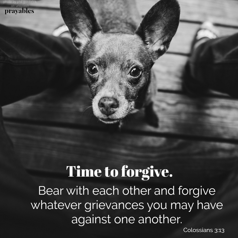 Colossians 3:13  Time to Forgive. Bear with each other and forgive whatever grievances you may have against one another.
