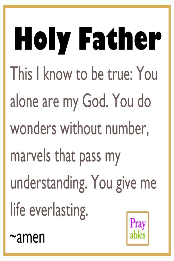 Holy Father you do wonders without number.